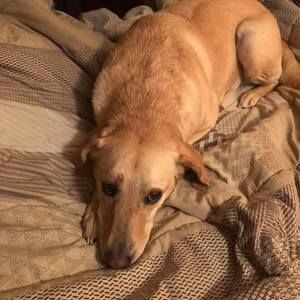 Meet your Posher, Connie newkirk